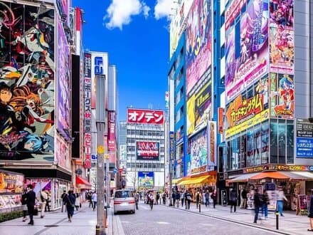 Akihabara Street Image - Muslim Welcome a Tokyo One-Day Private City Tour